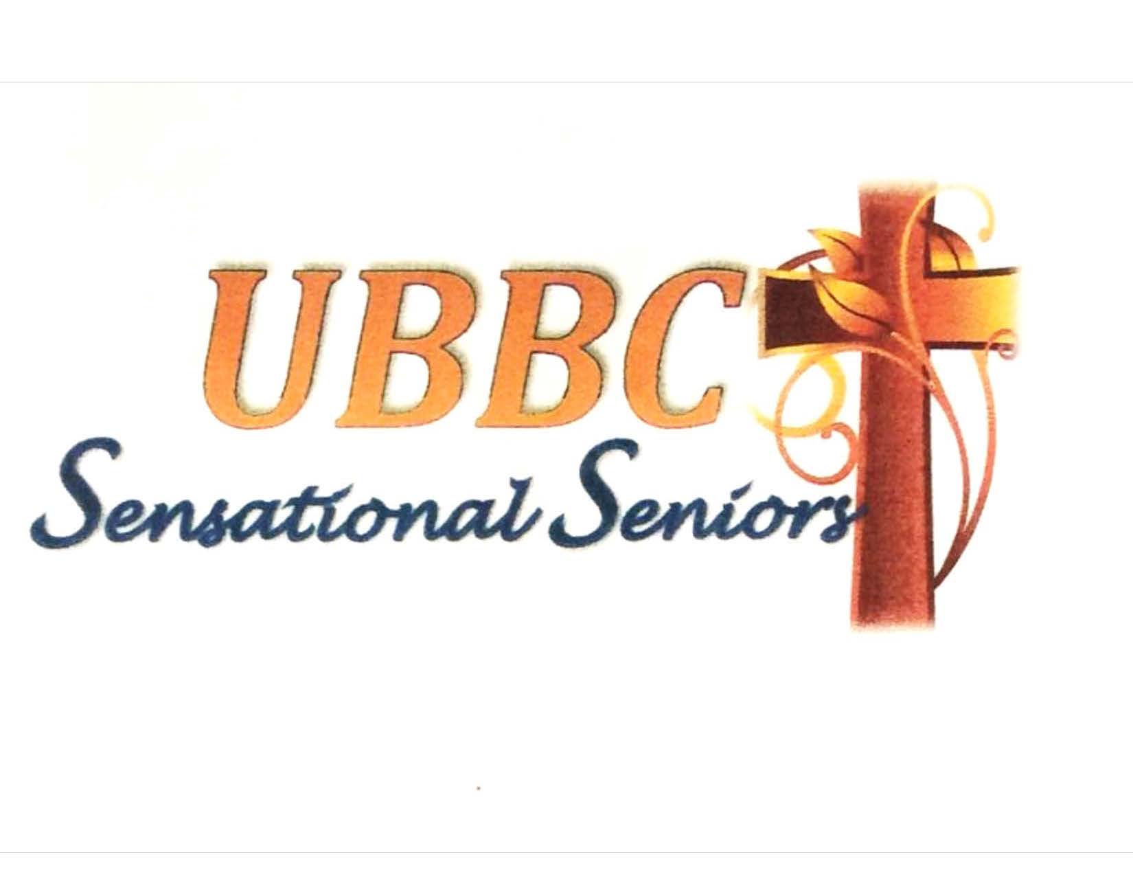 Sensational Seniors Web Logo